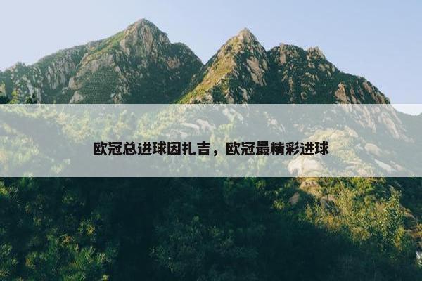 欧冠总进球因扎吉，欧冠最精彩进球