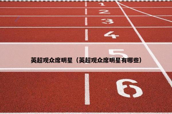 英超观众席明星（英超观众席明星有哪些）
