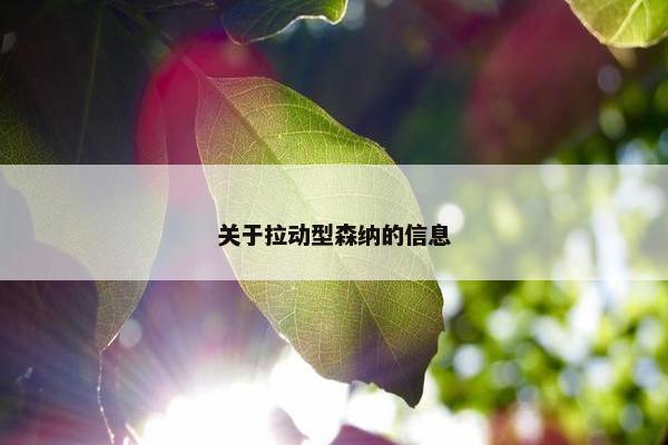 关于拉动型森纳的信息