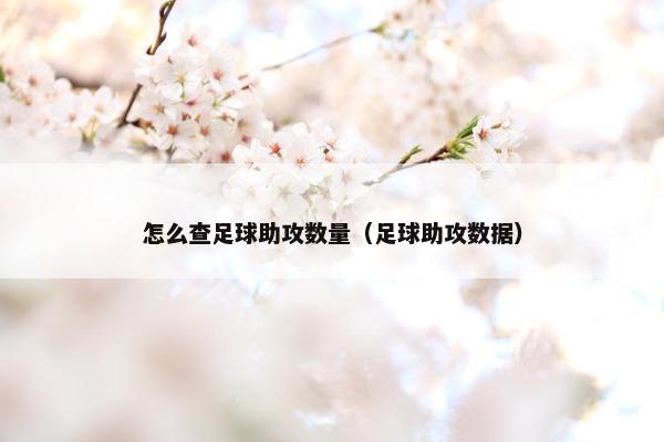 怎么查足球助攻数量（足球助攻数据）
