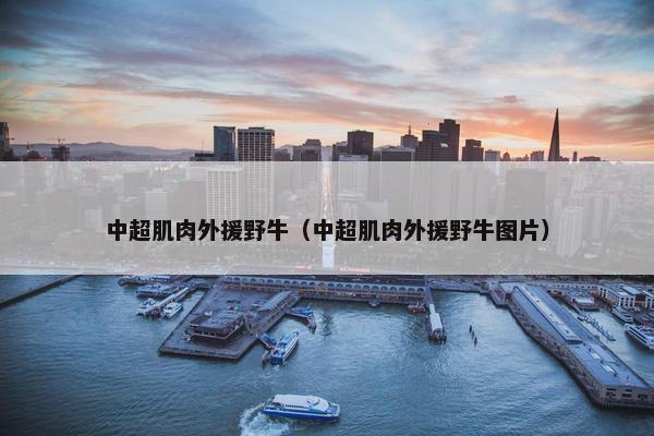 中超肌肉外援野牛（中超肌肉外援野牛图片）