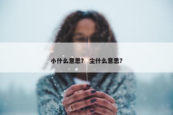 小什么意思？ 尘什么意思？