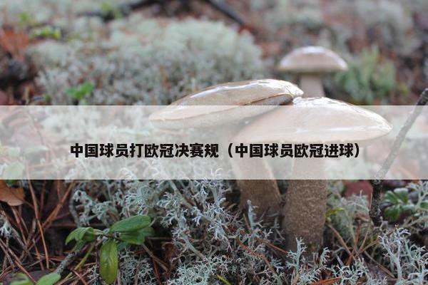 中国球员打欧冠决赛规（中国球员欧冠进球）