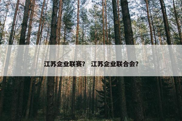 江苏企业联赛？ 江苏企业联合会？