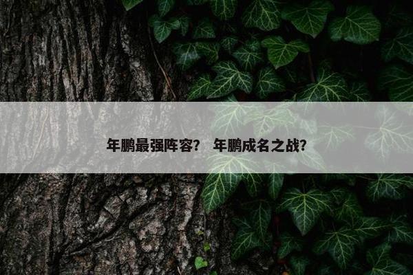 年鹏最强阵容？ 年鹏成名之战？