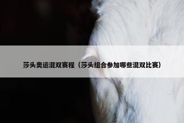 莎头奥运混双赛程（莎头组合参加哪些混双比赛）