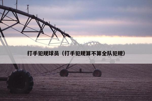 打手犯规球员（打手犯规算不算全队犯规）