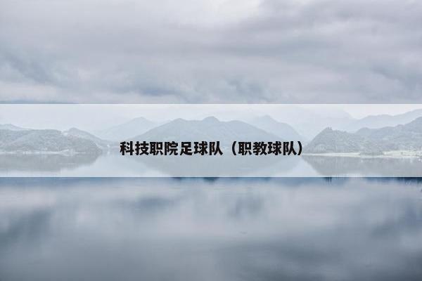 科技职院足球队（职教球队）