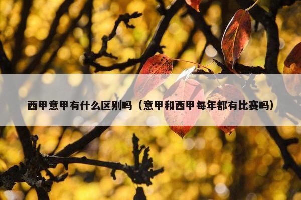 西甲意甲有什么区别吗（意甲和西甲每年都有比赛吗）