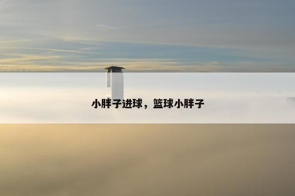 小胖子进球，篮球小胖子