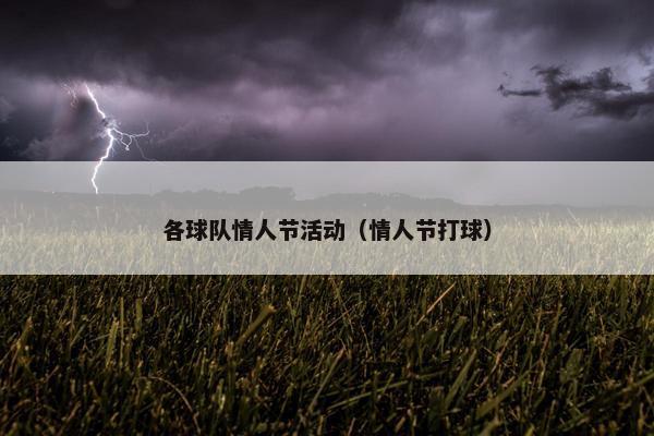 各球队情人节活动（情人节打球）