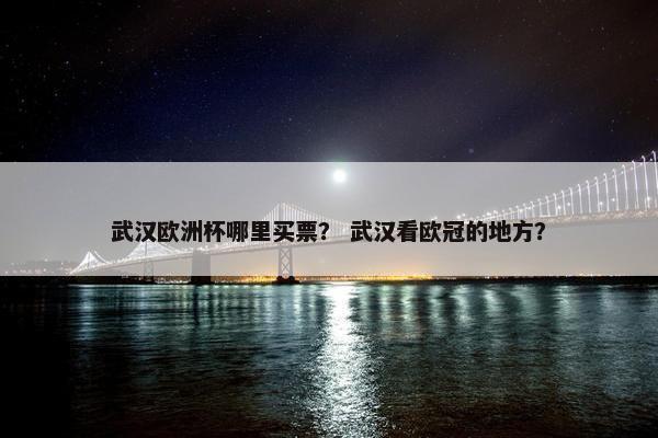 武汉欧洲杯哪里买票？ 武汉看欧冠的地方？
