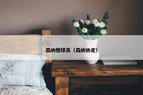 森纳他球员（森纳协定）