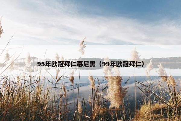 95年欧冠拜仁慕尼黑（99年欧冠拜仁）