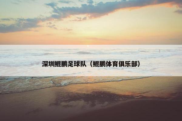 深圳鲲鹏足球队（鲲鹏体育俱乐部）