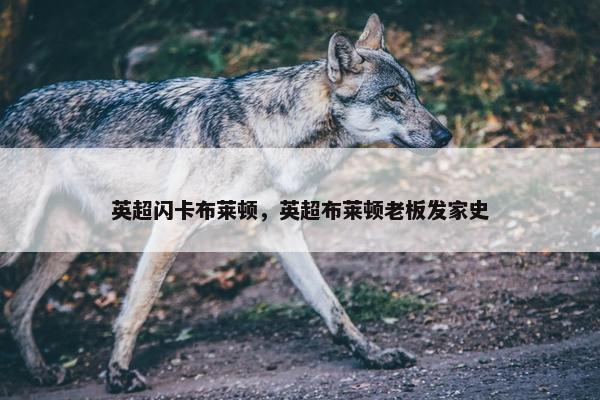 英超闪卡布莱顿，英超布莱顿老板发家史