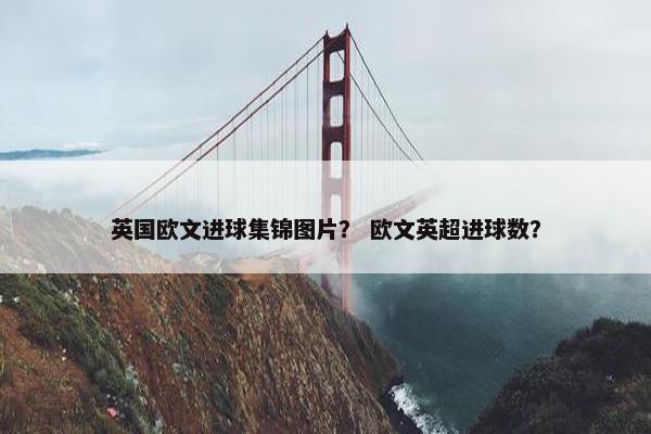英国欧文进球集锦图片？ 欧文英超进球数？