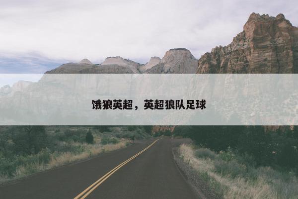 饿狼英超，英超狼队足球