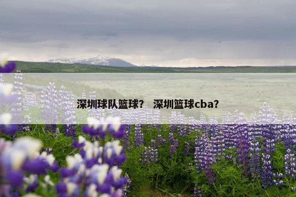 深圳球队篮球？ 深圳篮球cba？