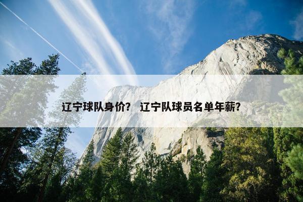 辽宁球队身价？ 辽宁队球员名单年薪？