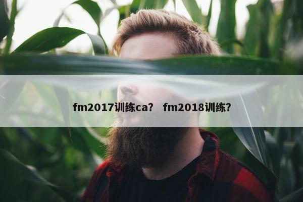 fm2017训练ca？ fm2018训练？