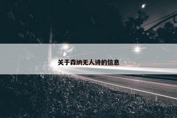 关于森纳无人诗的信息
