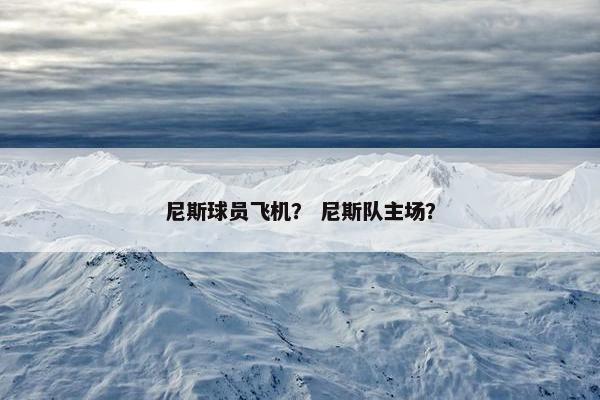 尼斯球员飞机？ 尼斯队主场？