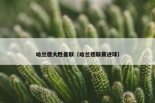 哈兰德大胜曼联（哈兰德联赛进球）