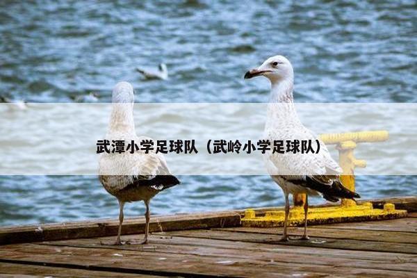 武潭小学足球队（武岭小学足球队）