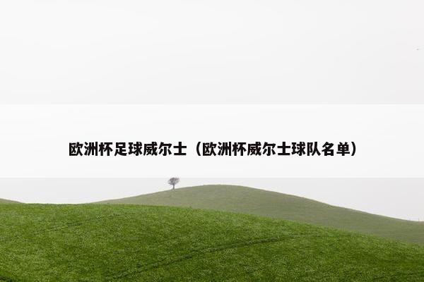 欧洲杯足球威尔士（欧洲杯威尔士球队名单）