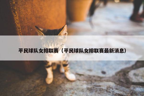平民球队女排联赛（平民球队女排联赛最新消息）