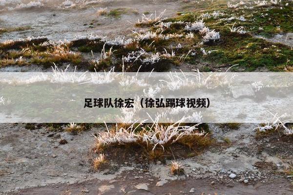 足球队徐宏（徐弘踢球视频）