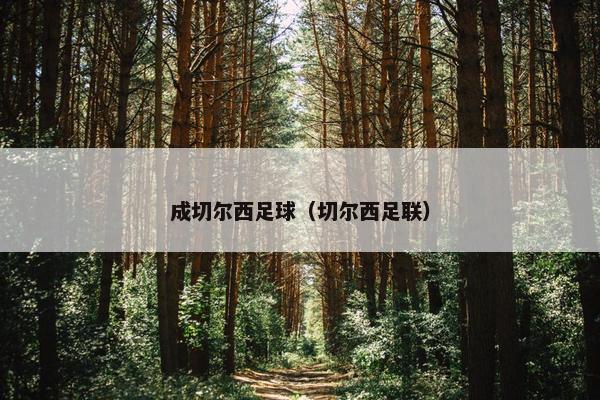 成切尔西足球（切尔西足联）