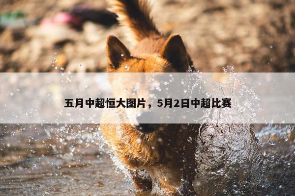 五月中超恒大图片，5月2日中超比赛