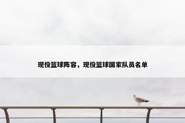 现役篮球阵容，现役篮球国家队员名单