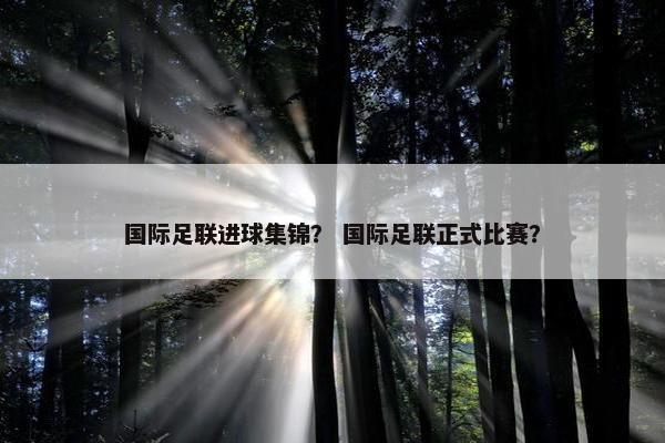 国际足联进球集锦？ 国际足联正式比赛？