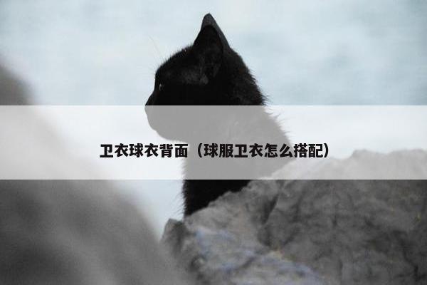 卫衣球衣背面（球服卫衣怎么搭配）
