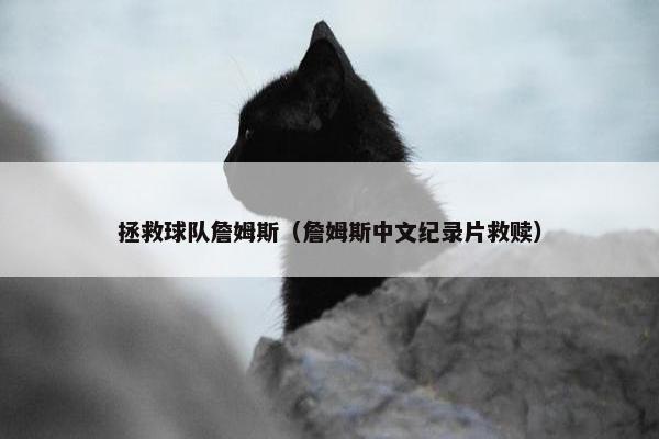 拯救球队詹姆斯（詹姆斯中文纪录片救赎）
