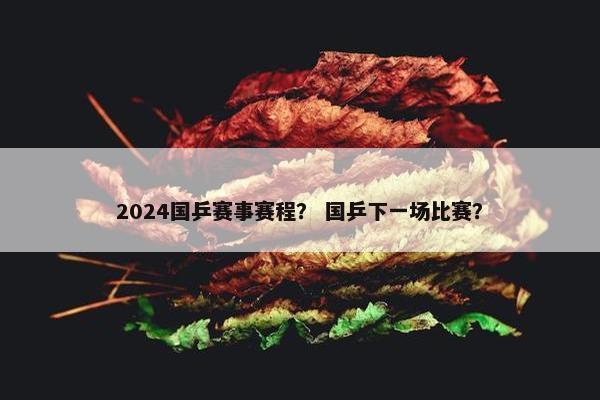 2024国乒赛事赛程？ 国乒下一场比赛？