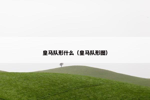 皇马队形什么（皇马队形图）