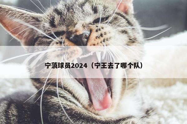 宁蒗球员2024（宁王去了哪个队）