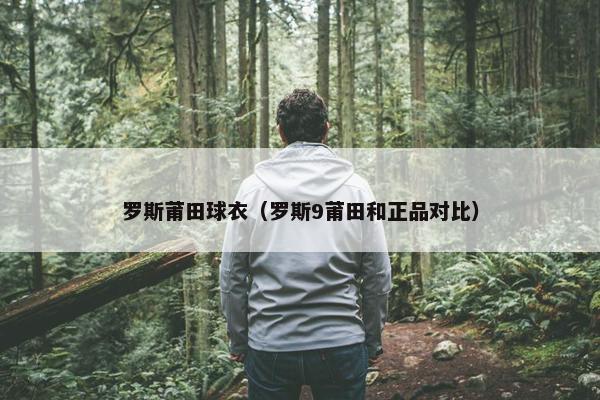罗斯莆田球衣（罗斯9莆田和正品对比）