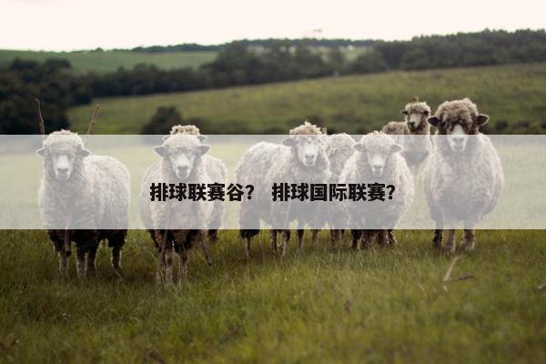 排球联赛谷？ 排球国际联赛？