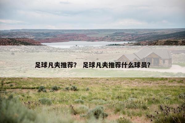足球凡夫推荐？ 足球凡夫推荐什么球员？