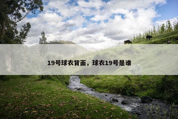 19号球衣背面，球衣19号是谁