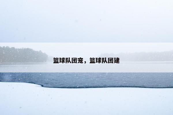 篮球队团宠，篮球队团建