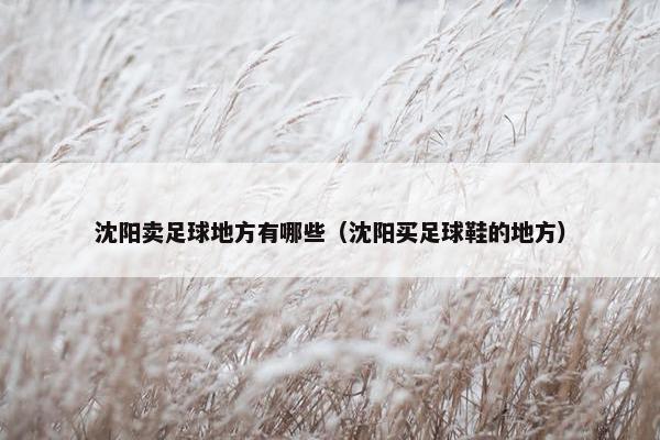 沈阳卖足球地方有哪些（沈阳买足球鞋的地方）