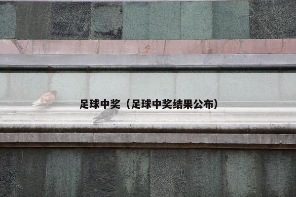 足球中奖（足球中奖结果公布）