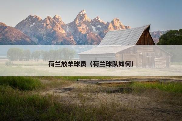 荷兰放羊球员（荷兰球队如何）