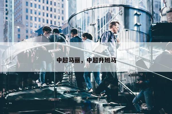 中超马丽，中超升班马